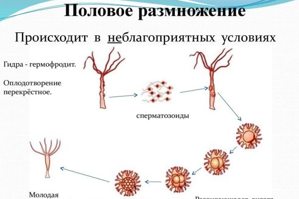 Мега даркнет маркет тор