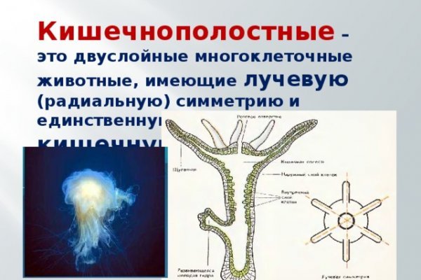 Ссылки мега магазина